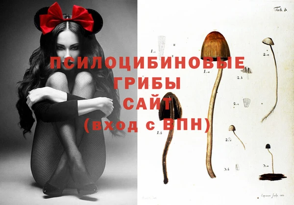 стафф Арсеньев