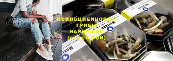 стафф Арсеньев